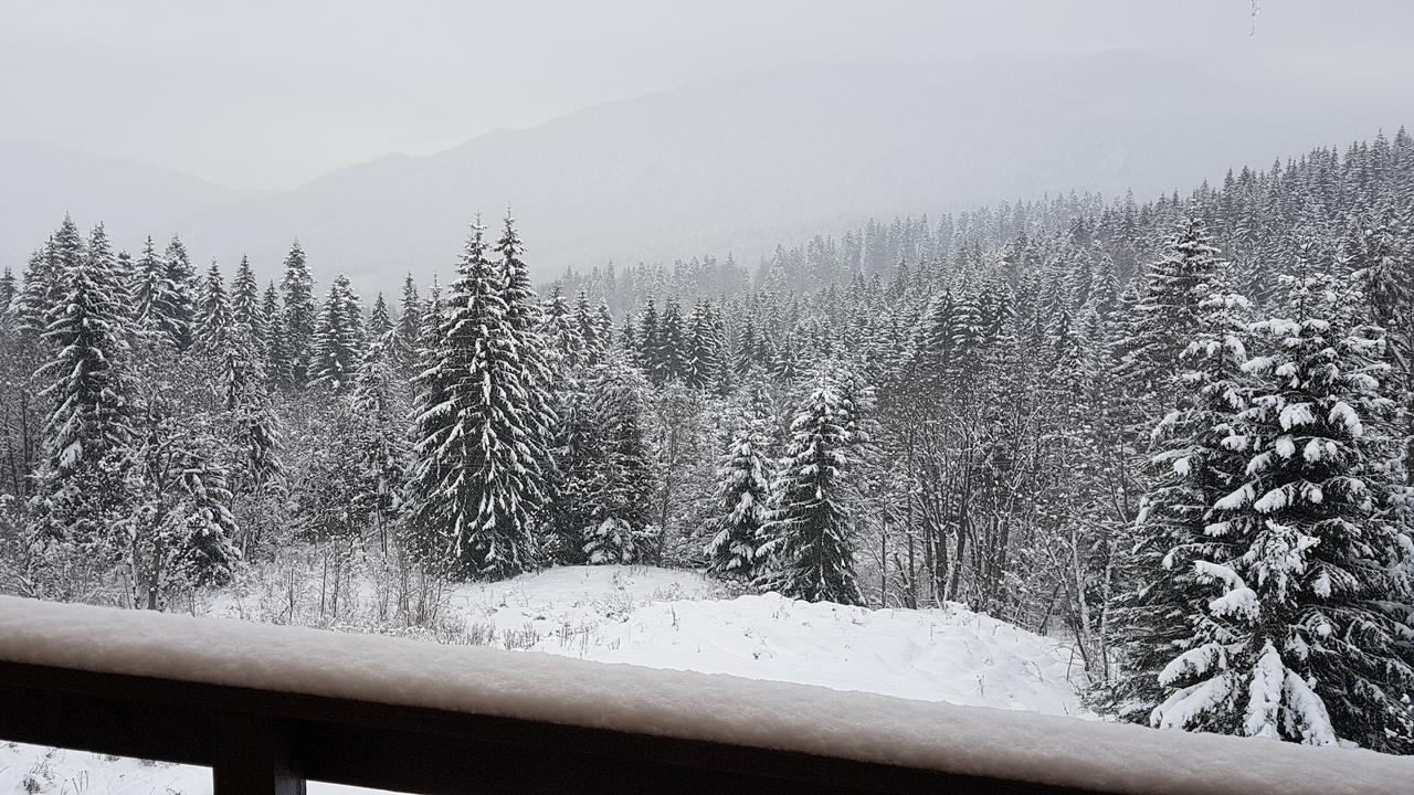Vanilla Residence Predeal Zewnętrze zdjęcie