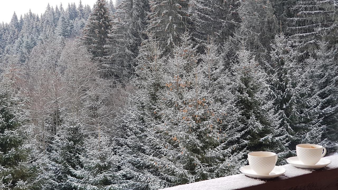 Vanilla Residence Predeal Zewnętrze zdjęcie