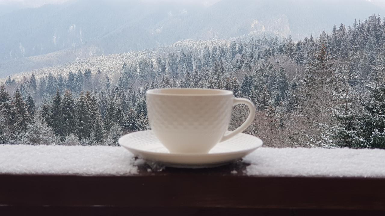Vanilla Residence Predeal Zewnętrze zdjęcie